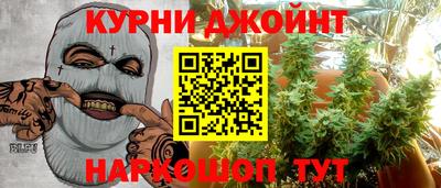 молекула духа Жуковский
