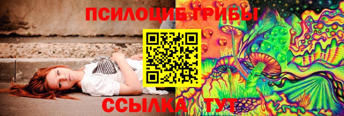 Киржач  Псилоцибиновые грибы Psilocybe  Вход с VPN 
