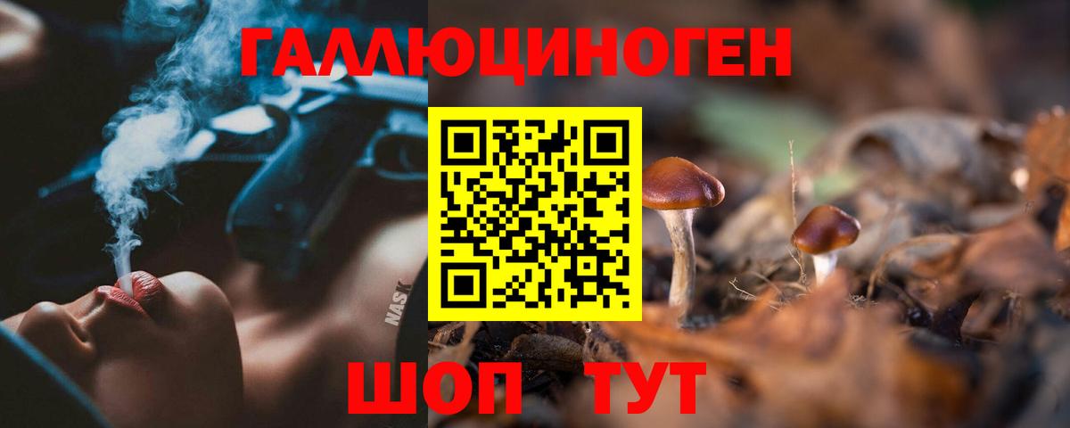 Псилоцибиновые грибы Psilocybine cubensis Киржач